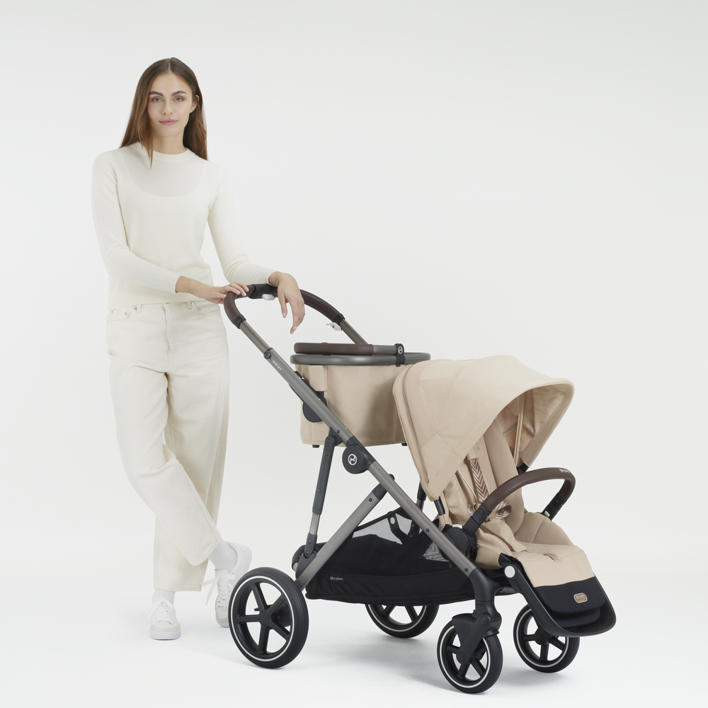 Gazelle S